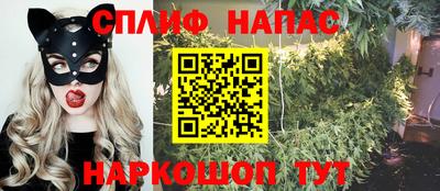 трава Сланцы