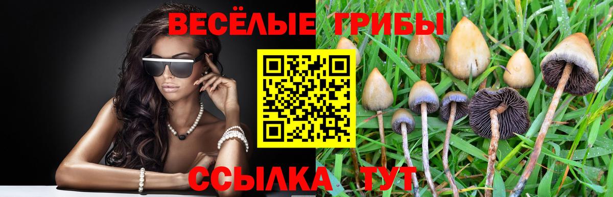 Октябрьский  Псилоцибиновые грибы мицелий  Галлюциногенные грибы прущие грибы  Вход с VPN 